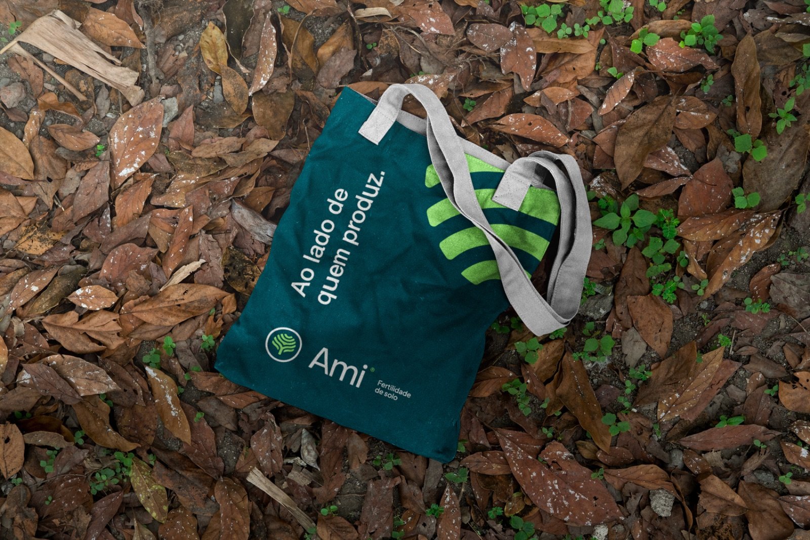 Ami, peça do projeto